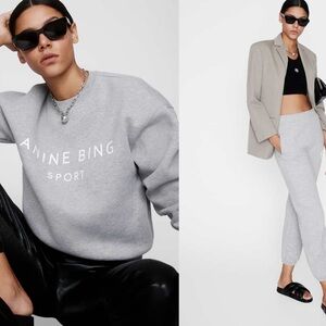 Anine Bing SPORT EVAN JOGGER IN HEATHER GREY